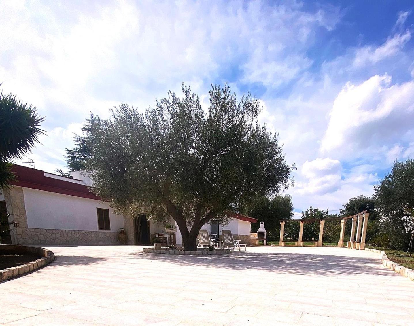 Willa Casa Ale & Vinci Monopoli Zewnętrze zdjęcie